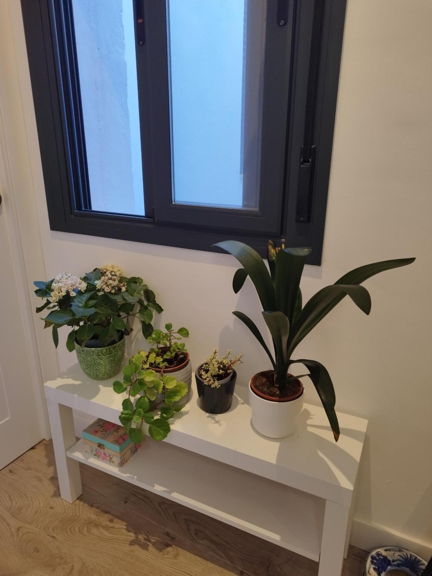 Calle Pureza Nº59 塞维利亚 外观 照片